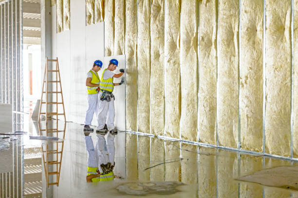 Best Insulation Maintenance and Repair in Gardner, IL